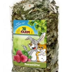 Bestseller JR Farm Beeren-Blätter 100 g