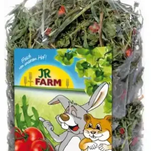 JR Farm Rucola & Tomate 100g Schneller Versand