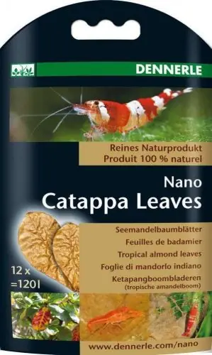 Dennerle Nano Catappa Leaves Meistverkauft