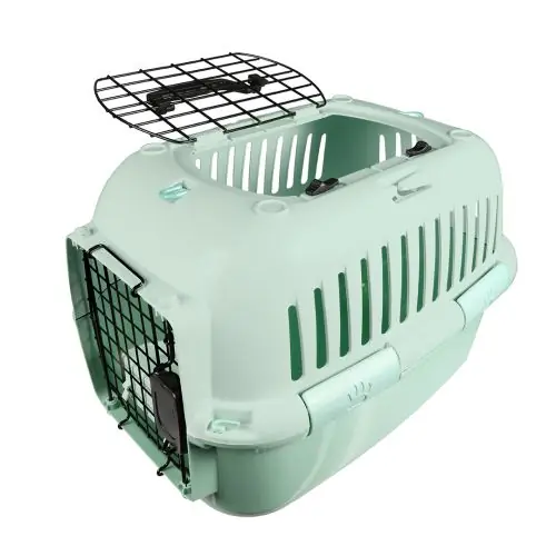 EBI Transportbox Adventurer - Grün 49 x 32 x 32cm - max. 10kg Begrenztes Angebot