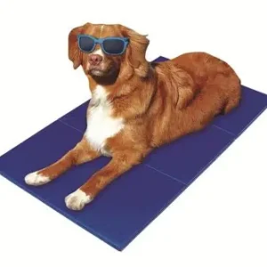 Pet-Star Kühlmatte 110 x 70 cm 65 x 50 cm Neu