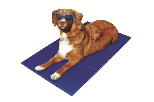Pet-Star Kühlmatte 110 x 70 cm 65 x 50 cm Neu