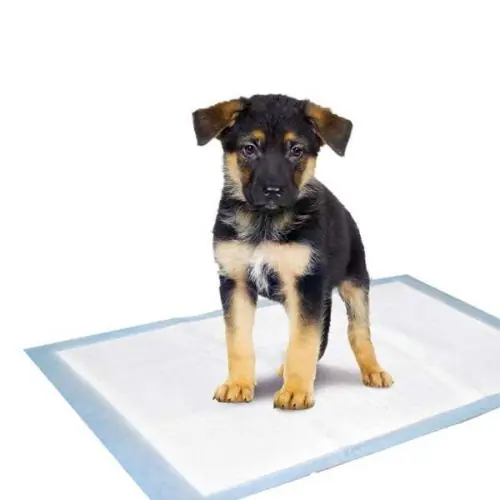 Karlie Flamingo Puppy Pads Trainingsmatten 35 x 45 cm / 10 Stk 35 x 45 cm / 10 Stk Beliebt