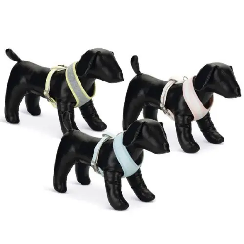 Beeztees Puppy Welpengeschirr S / rosa S / grau-gelb Neue Ware