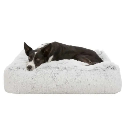 Must-Have Trixie Kissen Harvey 80 x 60 cm 80 x 60 cm