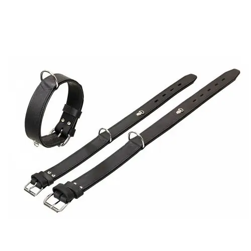 Karlie Rondo Halsband mit Ring für Adresstube - Schwarz 50cm/35mm 50cm/35mm Aktuell