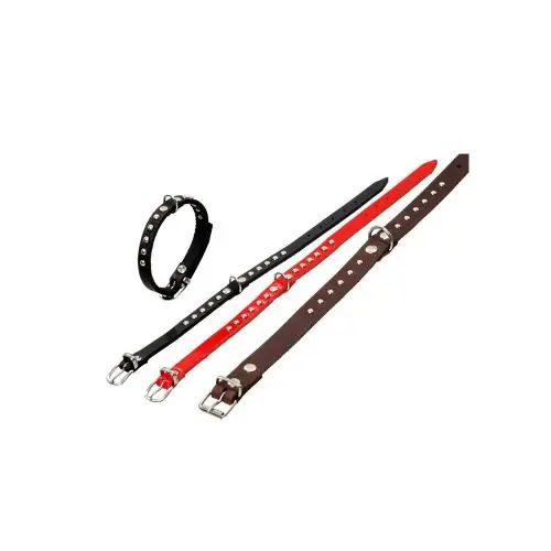 Beliebt Karlie RONDO Halsband mit Ziernieten - Schwarz 27cm / 10mm 24cm / 10mm