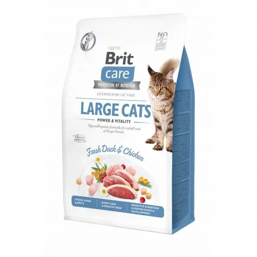 Meistverkauft Brit Care Cat Grain-Free - Large cats - Power & Vitality 2kg 400g