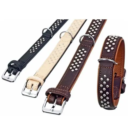 Karlie Rondo Halsband unterlegt mit Rundkopfnieten - Natur 35mm/57cm 22mm/32cm Online Kaufen