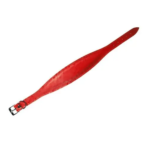 Nur Heute Karlie Rondo Windhund-Halsband - Rot 55cm/60mm 50cm/60mm