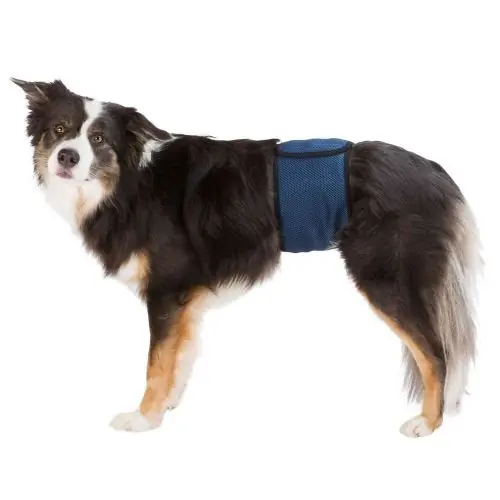Neu Im Sortiment Trixie Windeln für Rüden, waschbar L / 55-65 cm S / 29-37 cm
