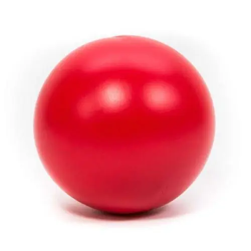 Jetzt Bestellen PROCYON Treibball Rot Gelb
