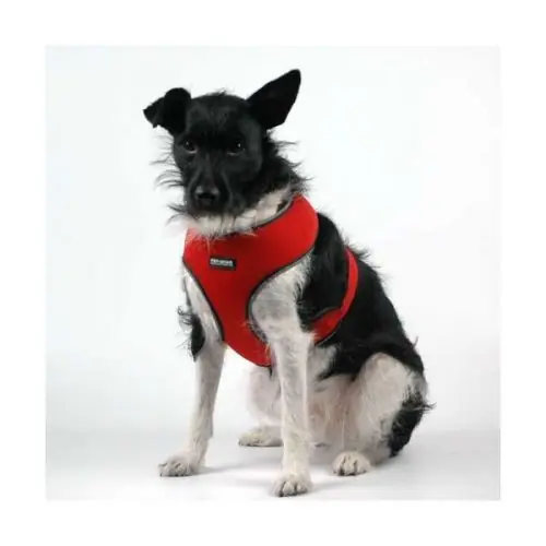 Top-Seller Pet-Star Softgeschirr / Netzgeschirr - Rot XL XL