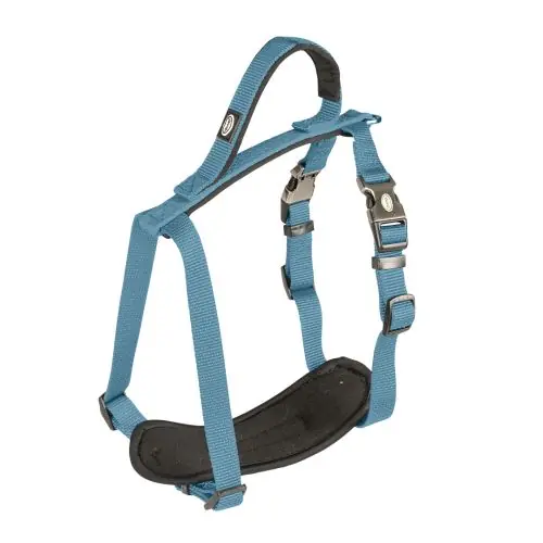 Duvoplus EXPLOR North Geschirr - Petrolblau 50-65cm/20mm 30-40cm/15mm Sofort Bestellen
