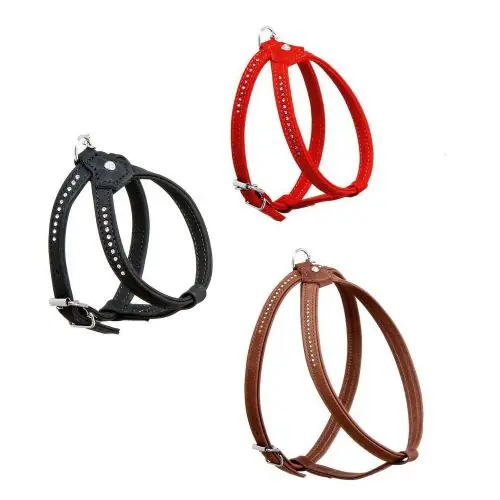 Jetzt Kaufen Karlie Buffalo Strass Geschirr - Schwarz 10 mm / 20-27 cm 10 mm / 20-27 cm