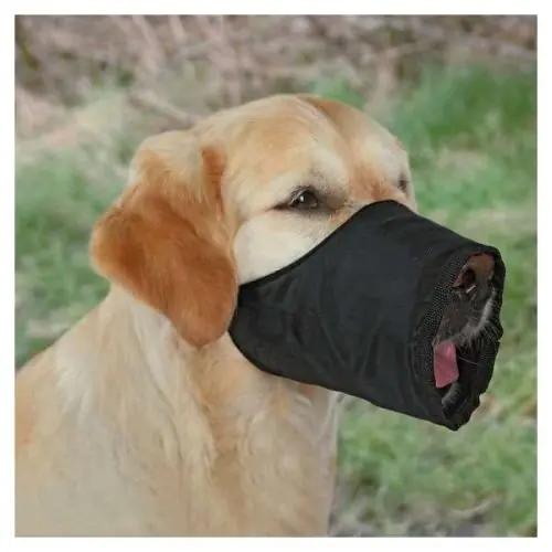 Must-Have Trixie Nylon-Maulkorb XS XXS
