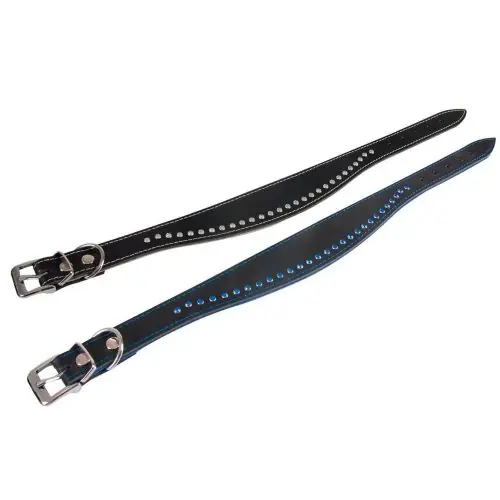 Direktkauf Karlie Halsband Chic - Schwarz/Blau 50 cm / 40 mm 45 cm / 35 mm