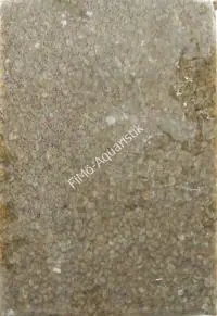 Bachflohkrebse 1kg Flatpack Top-Seller