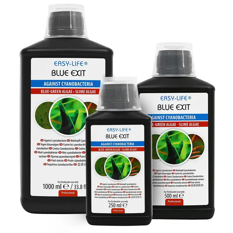 Easy Life Blue Exit 250 ml Bestseller