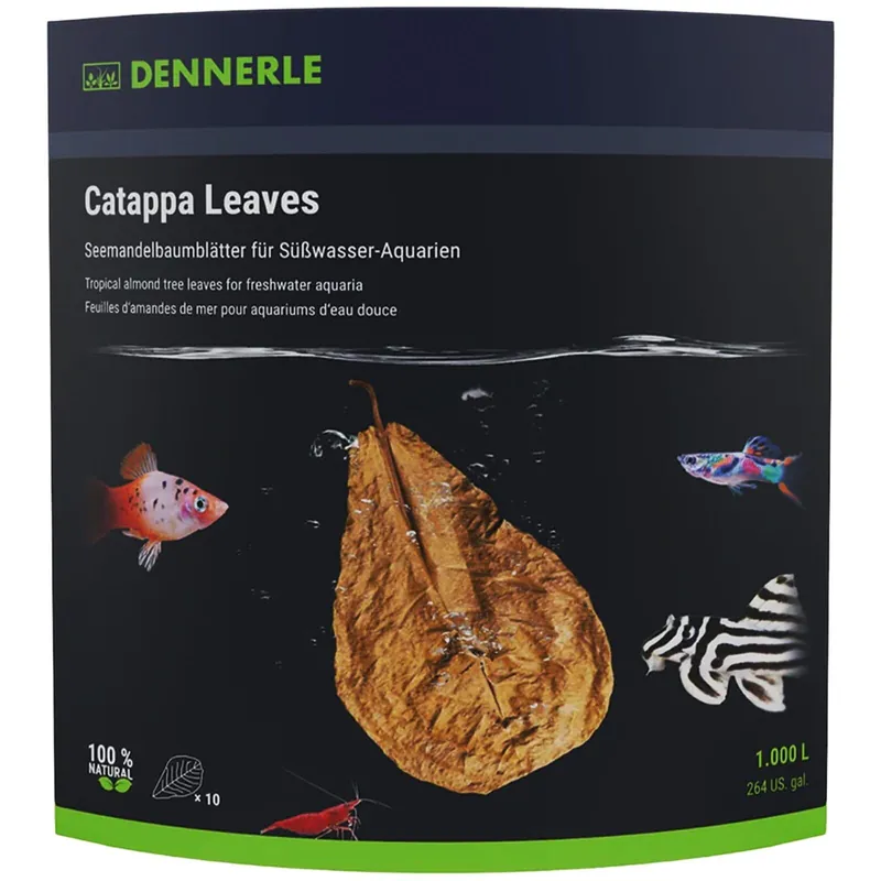 Dennerle Catappa Leaves 10x Günstig
