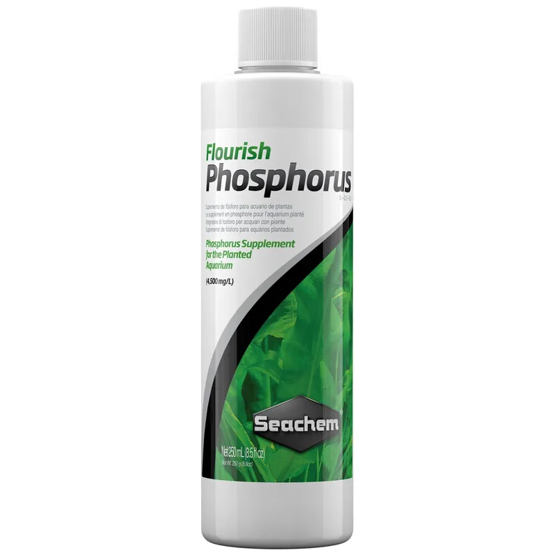 Seachem Flourish Phosphorus 100 ml Neu Im Sortiment