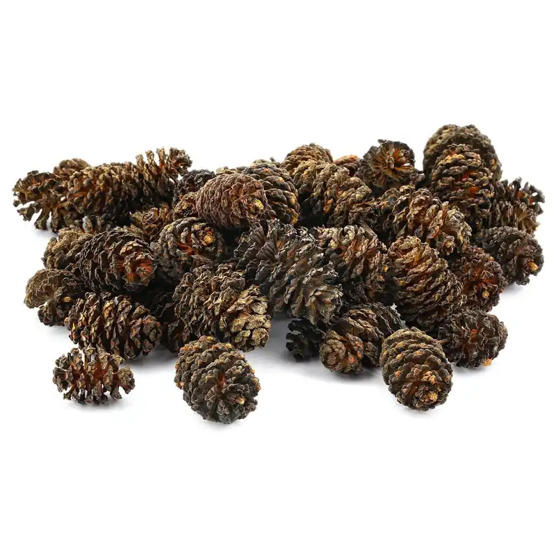 Günstig Erlenzapfen 25 g