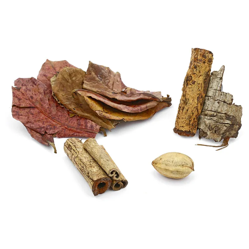 Seemandelbaum-Set Nano Rabatt