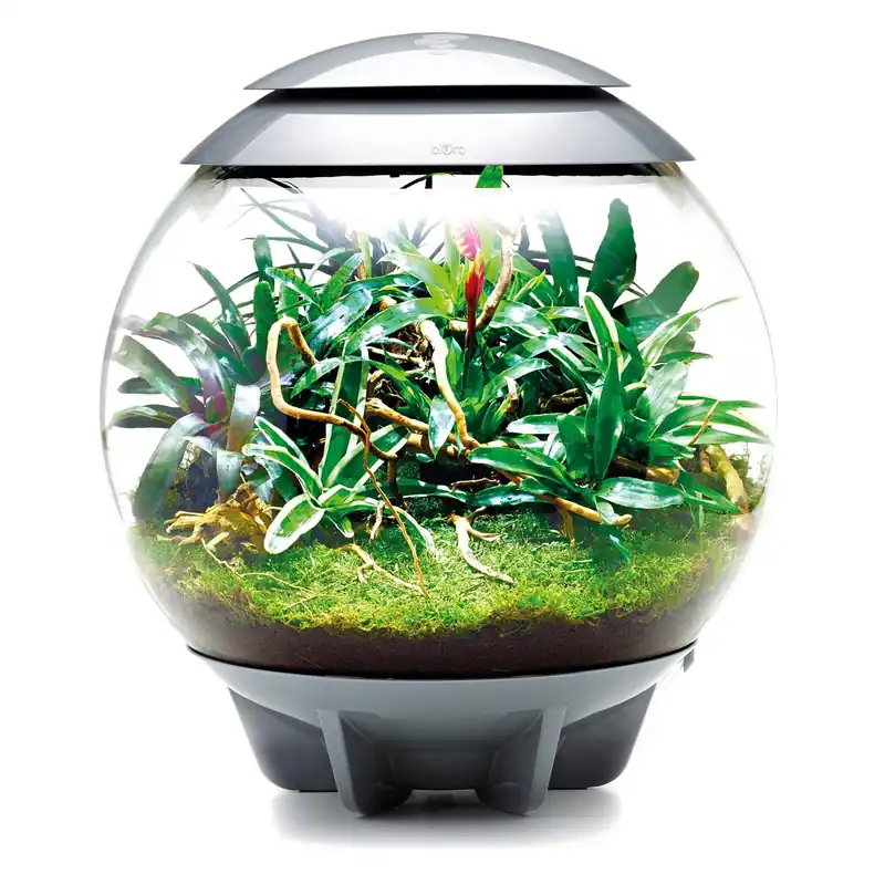Oase biOrb Air 60 weiß Günstig