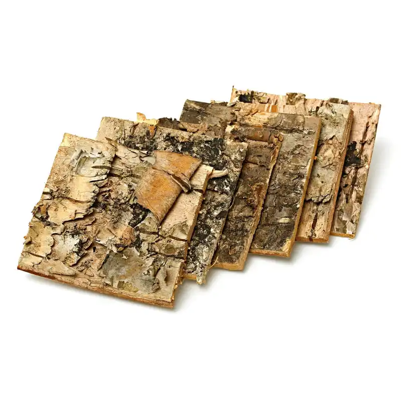 Top-Preis Birkenrindeplatten 5 x 5 cm - 5x