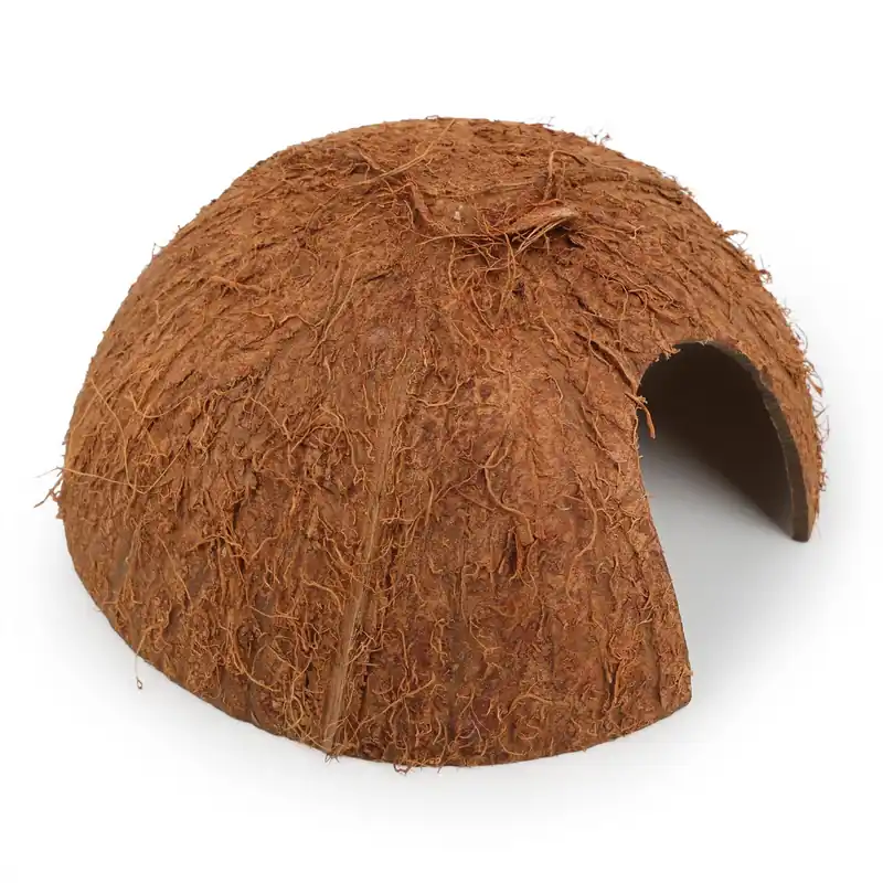 Kokosnusshalbschale mit Eingang Knallerangebot