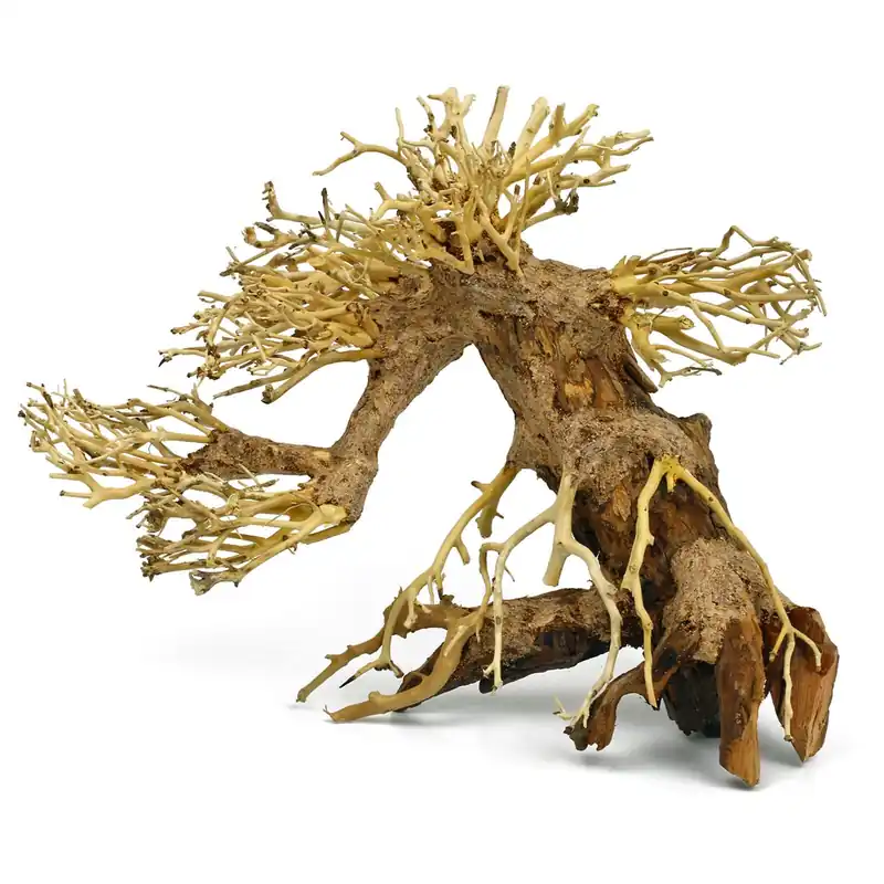 Aqua-Bonsai S Bestpreis