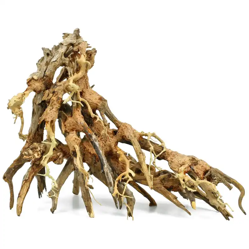 Aktuell Octopus-Holz S