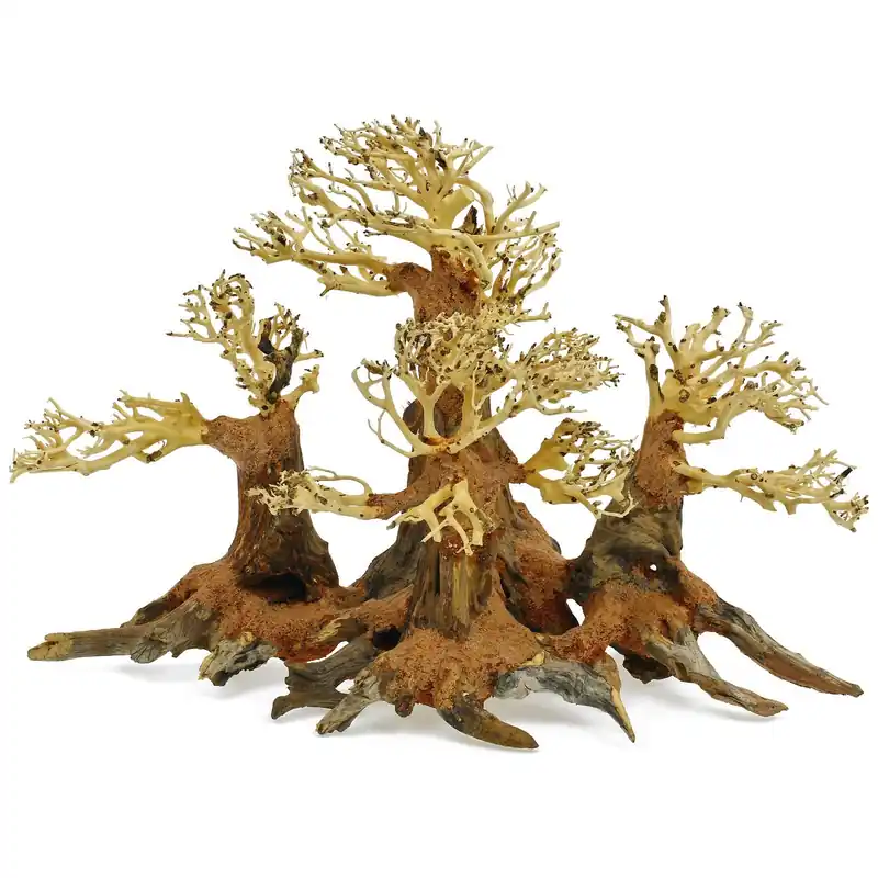 Direktkauf Wald-Bonsai S