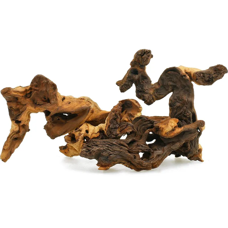 Mopani Wurzel XS - 10-15 cm Meistverkauft