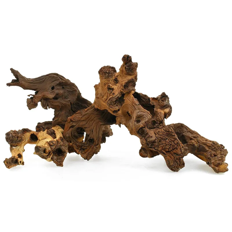 Mopani Wurzel XS - 10-15 cm Top-Seller
