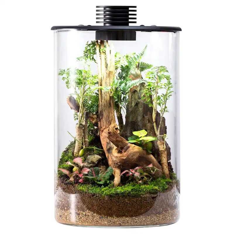 Nur Heute Bioloark Bio Bottle LED ZD ZD 150