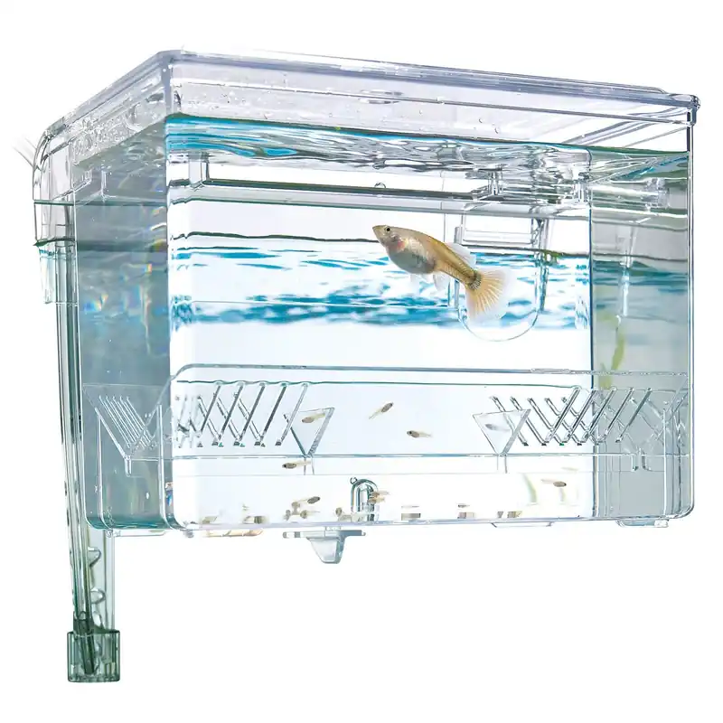 Finale Aktion Fluval Hang-on Aufzuchtbecken M