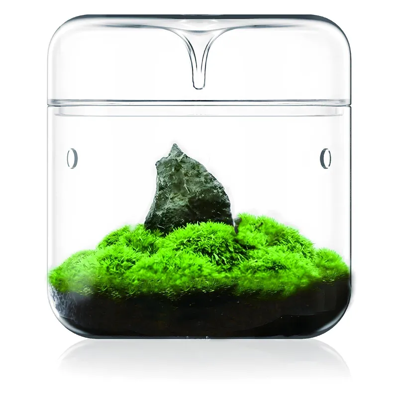 Bioloark Luji Glass Cup MY-120 Sonderaktion