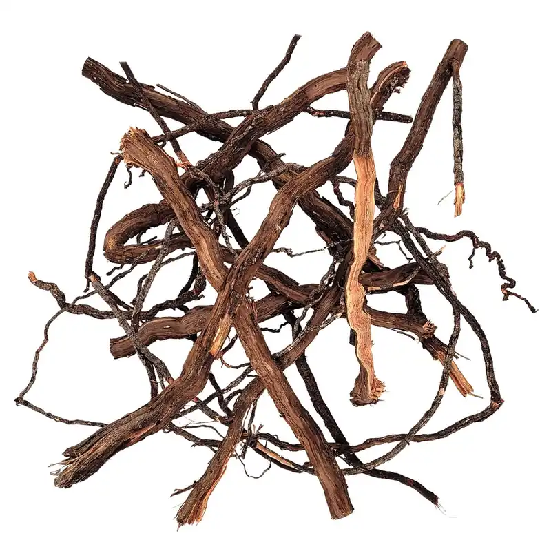 Direkt Vom Hersteller WIO Roots Elder Root 10-30 cm