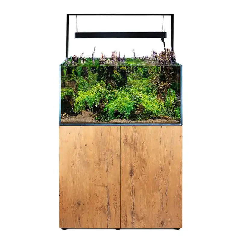 Nur Für Kurze Zeit Aquael UltraScape 90 Kombination Forest