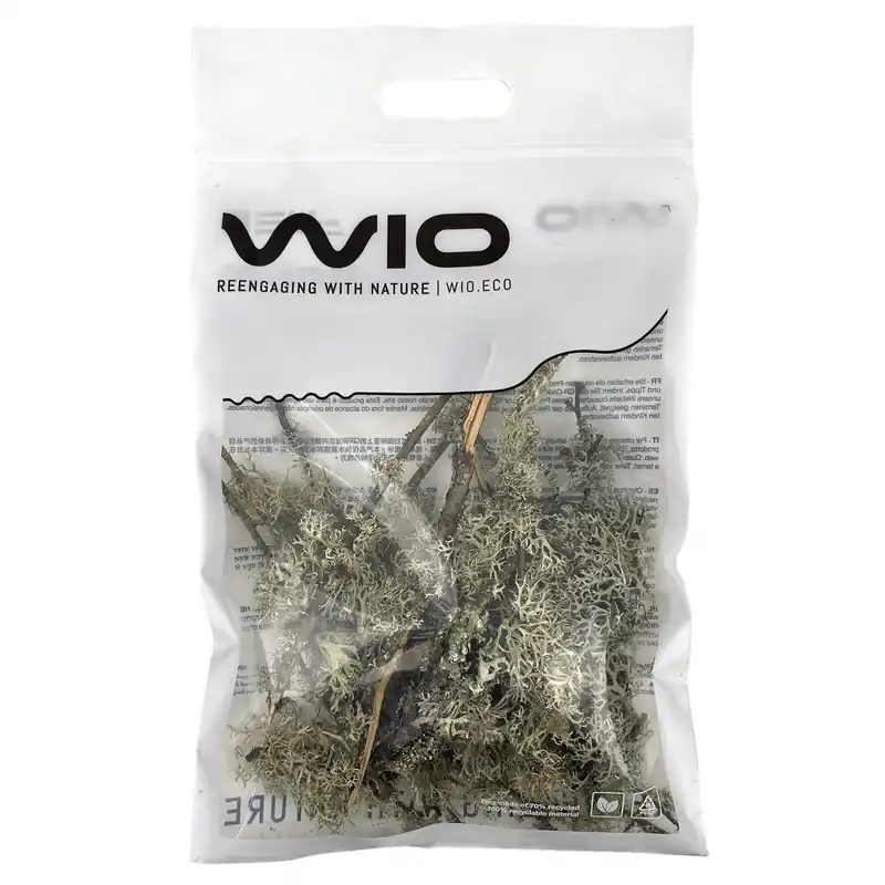WIO Flechten Lichen Branches 5-30 cm 100g Garantierte Lieferung
