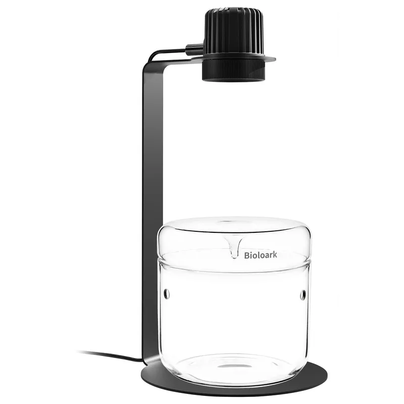 Bioloark Wabi-Kusa Set LH-03 Super-Preis