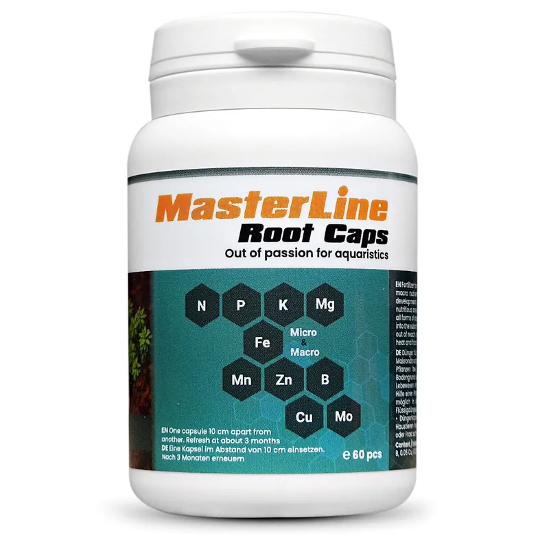 Mega-Angebot MasterLine Root Caps 60 Kapseln
