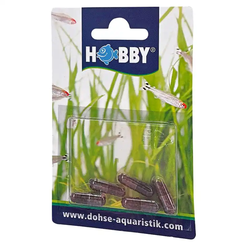 Ausverkauf Hobby Planaria X Special Bait