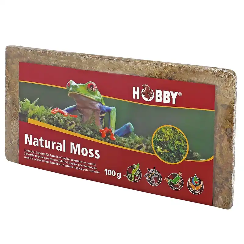 Hobby Natural Moss 100 g Neuheit