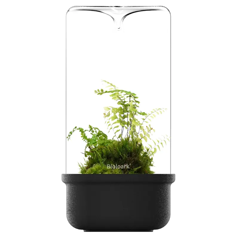 Bioloark Luji Glass Cup Schwarz MH MH-80 Markenprodukt