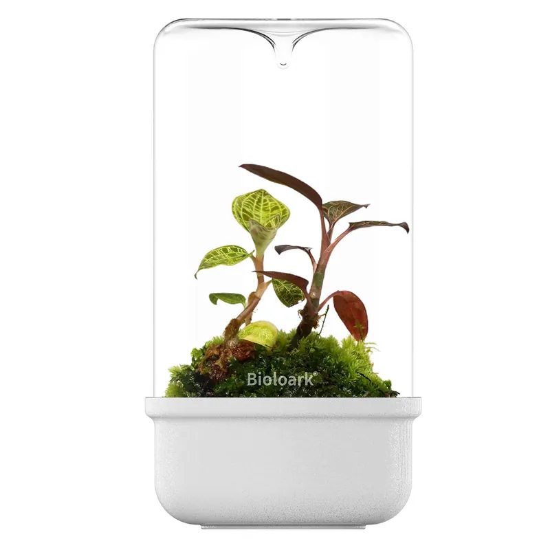 Knallerangebot Bioloark Luji Glass Cup Weiß MH MH-80