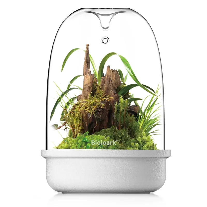 Bioloark Luji Glass Cup Weiß MQ MQ-150 Finale Aktion