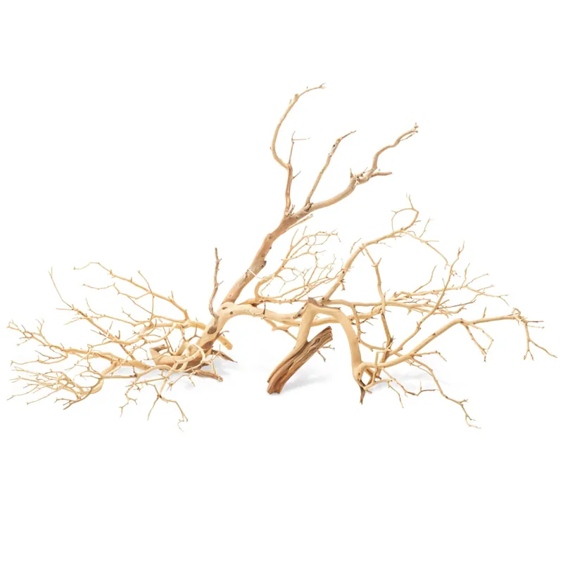 UNS Manzanita XS Schnäppchen
