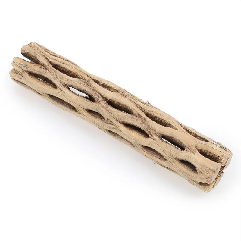 Online Kaufen UNS Cholla Sticks S